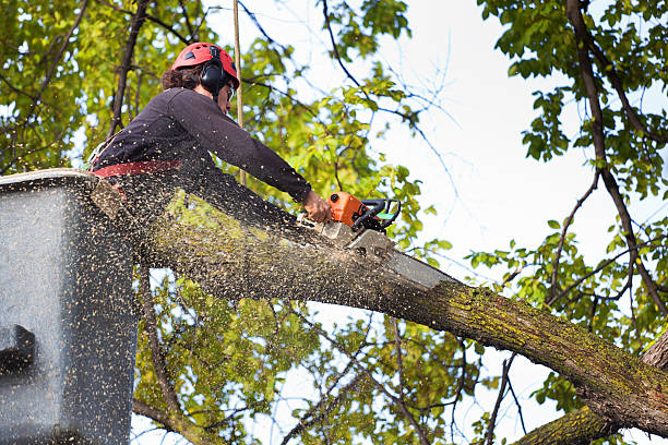 Soil Testing and Treatment in Swissvale, PA